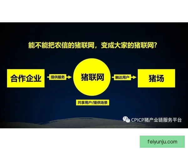 以80猪线代理为核心构建共享数字服务生态圈协同链接资源融合