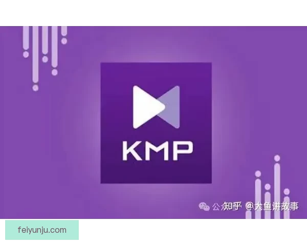 KMPlayer绿色版便携影音播放格式兼容优化全攻略秘籍宝典